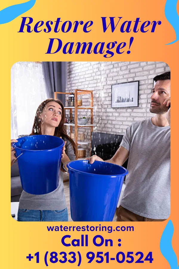 water restoration Summit Disaster Recovery Pros Rutledge