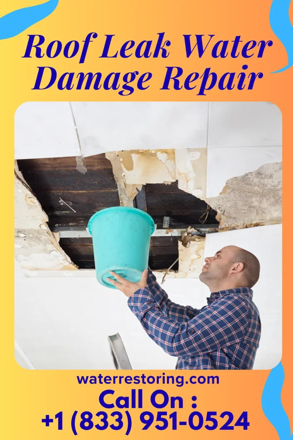 Roof Leak Water Damage Repair in Rutledge, TN